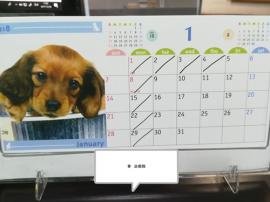 ご挨拶