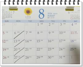 8月の予定