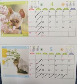 4月.5月の予定表